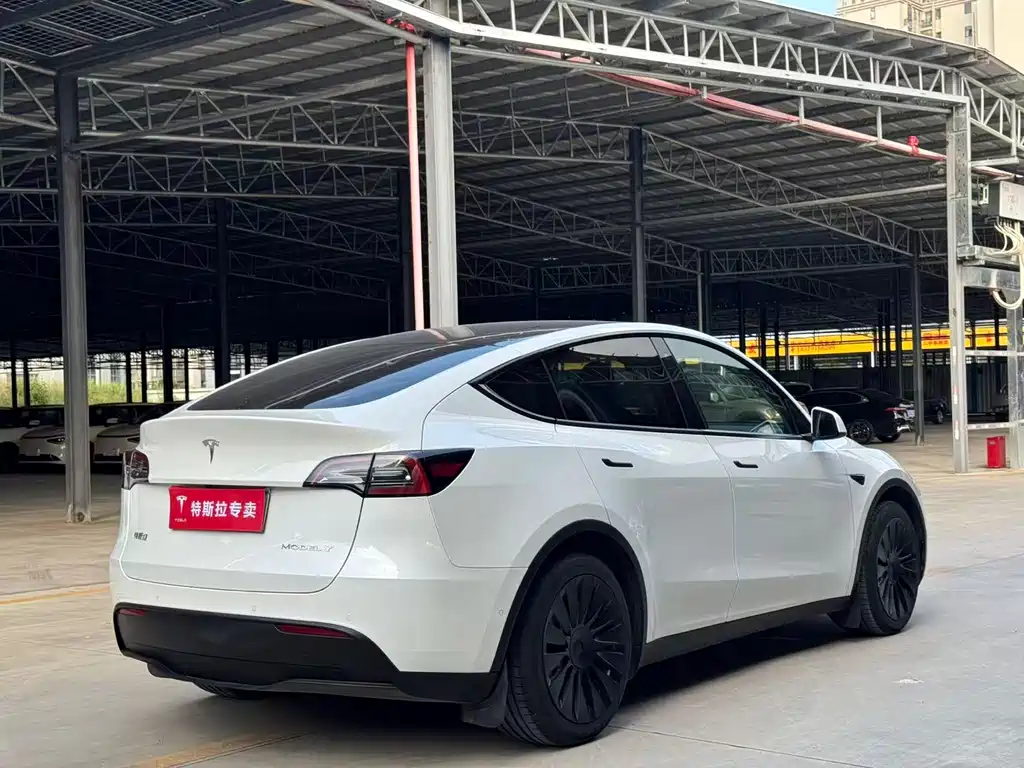Tesla Model Y 2023 — фото 9