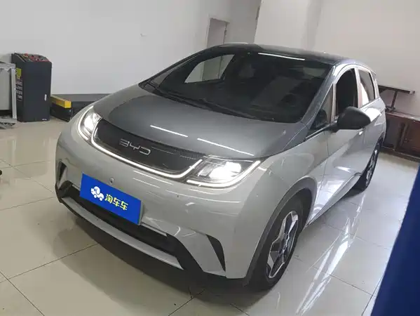 BYD Dolphin 2022
