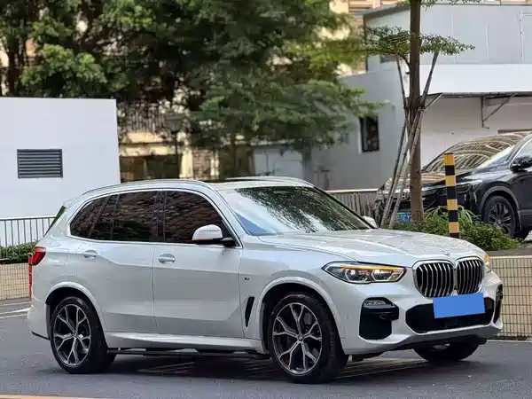 BMW X5 2019