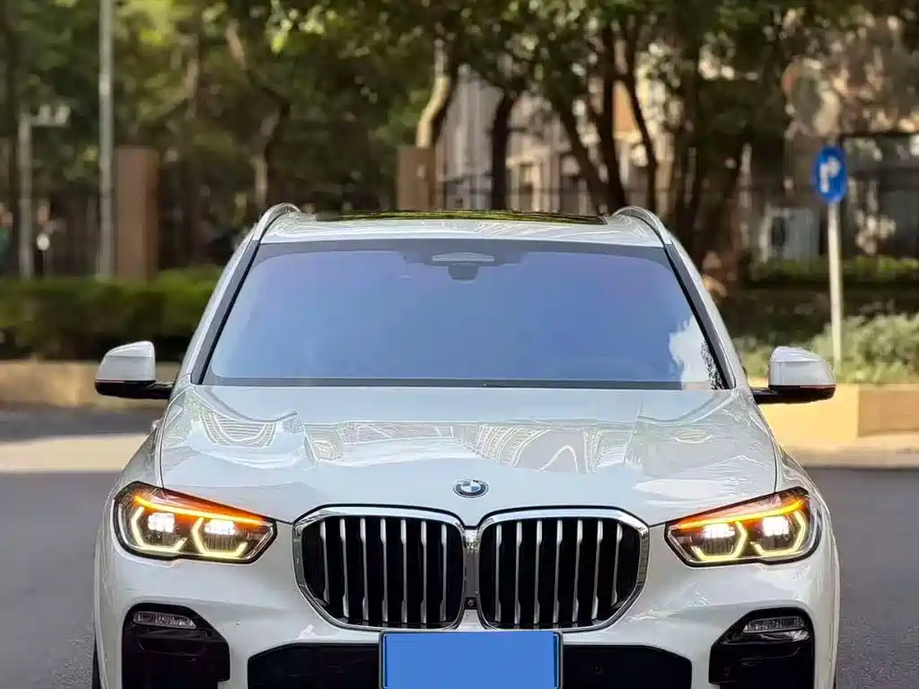 BMW X5 2019 — фото 2