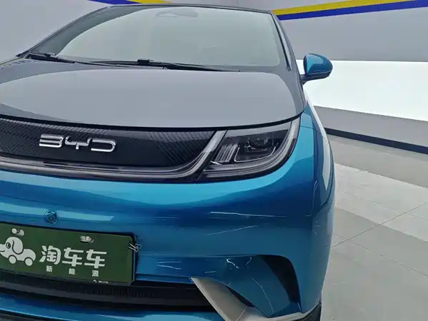 BYD Dolphin 2022