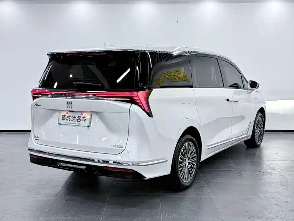 Buick GL8 New Energy 2024