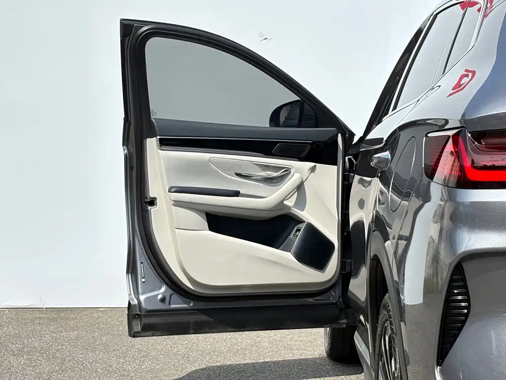 BYD Song PLUS New Energy 2024 — фото 17