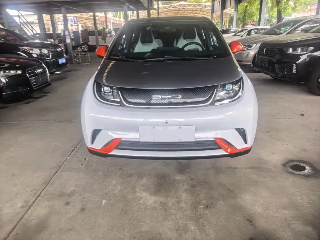 BYD Dolphin 2022