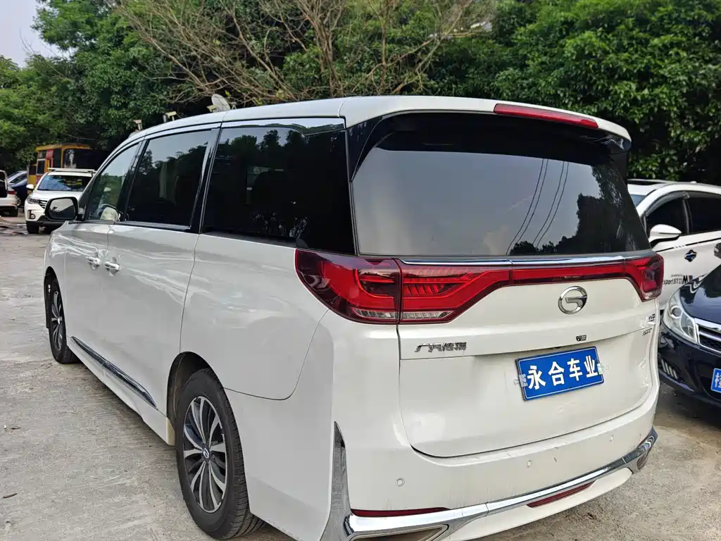 GAC Motor Trumpchi M8 2023 — фото 6
