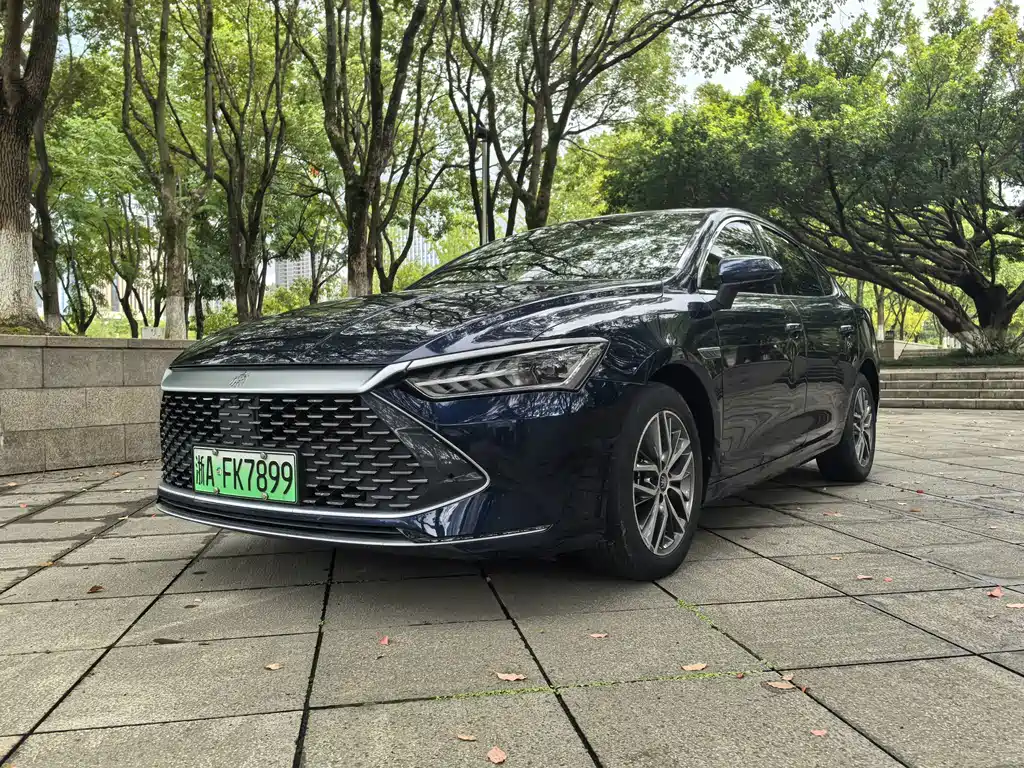BYD Qin PLUS 2024 — фото 1