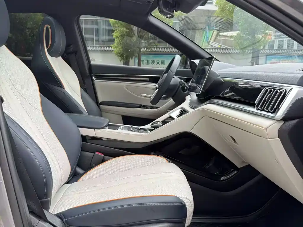 BYD Song PLUS New Energy 2023 — фото 7