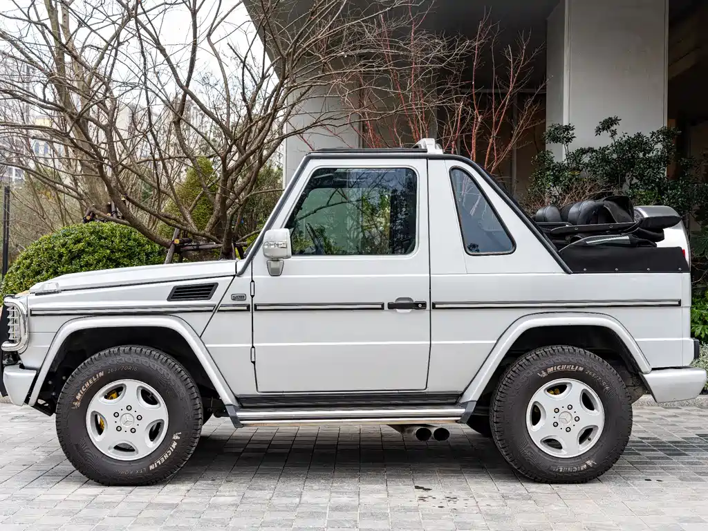 Mercedes-Benz G-Class 1999 — фото 13