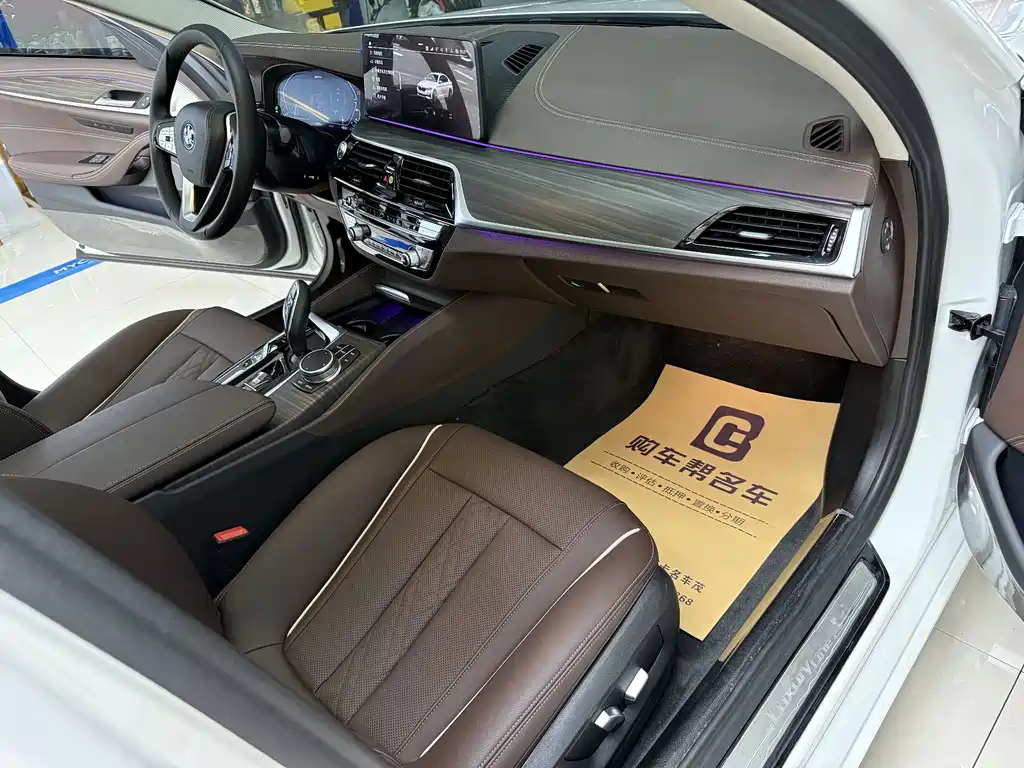 BMW 5 Series New Energy 2022