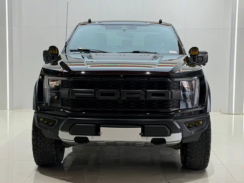 Ford F-150 Raptor 2024 — фото 1