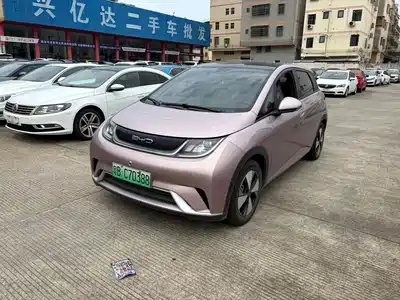 BYD Dolphin 2024