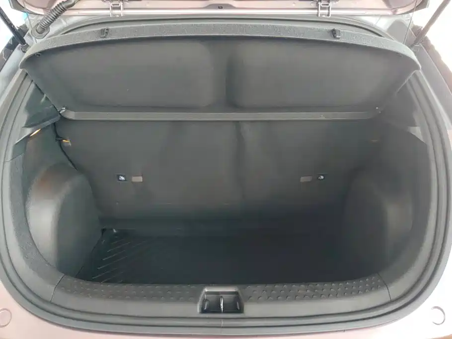 BYD Dolphin 2022