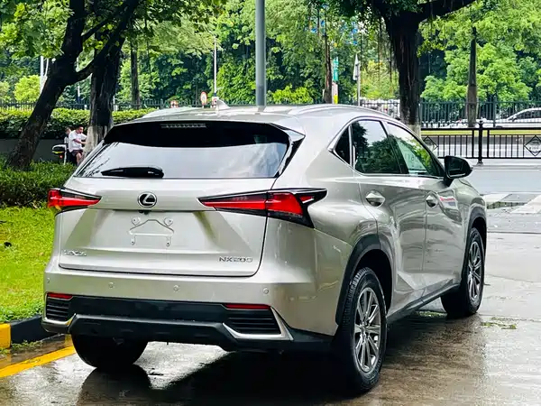 Lexus NX 2019