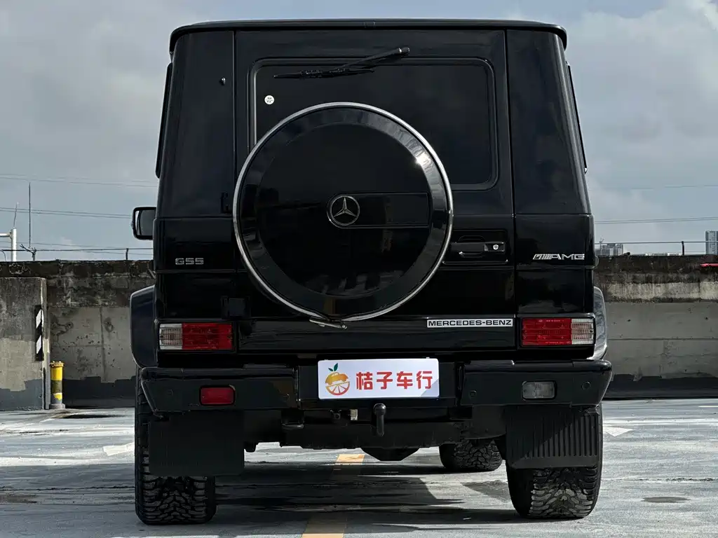 Mercedes-Benz G-Class 2007 — фото 11