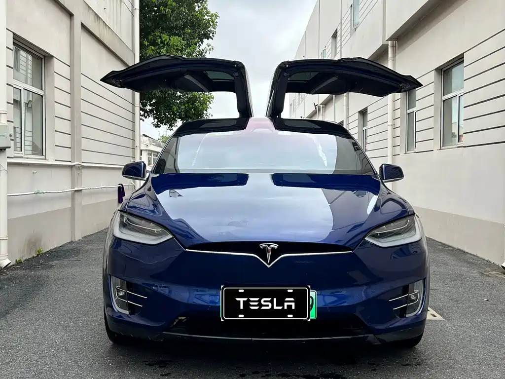 Tesla Model X 2020 — фото 2