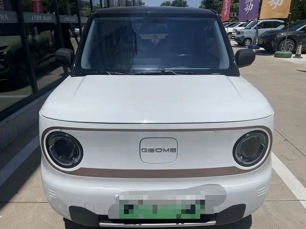 Geely Galaxy Panda 2024