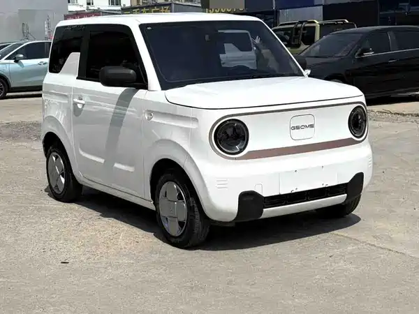 Geely Galaxy Panda 2024