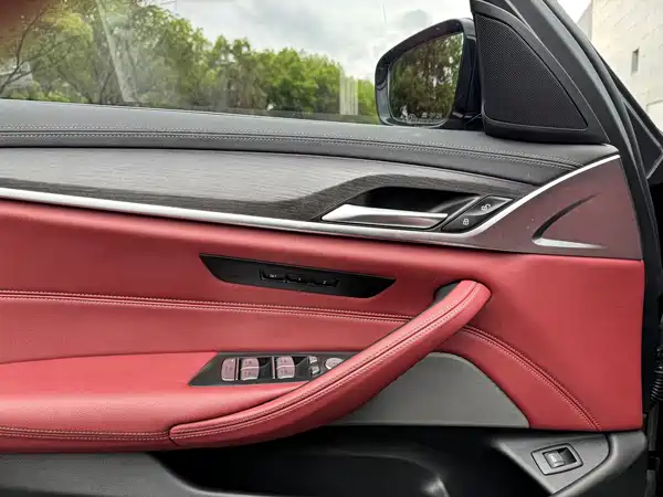 BMW 5 Series 2021