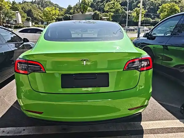 Tesla Model 3 2021