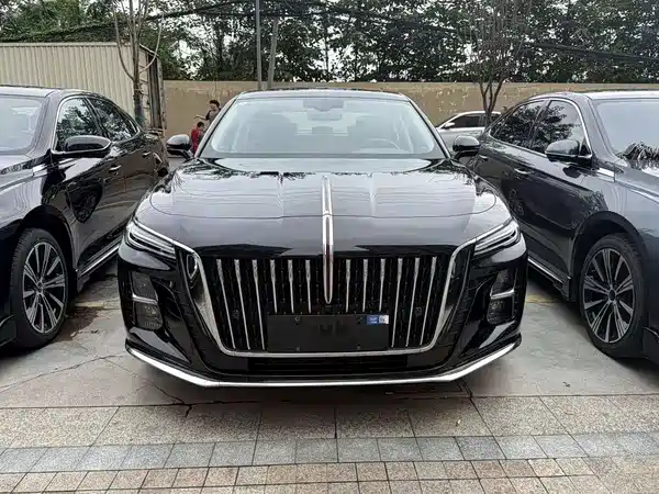 Hongqi H5 2024