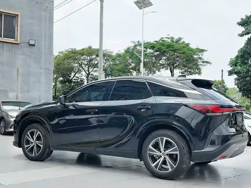 Lexus RX 2024 — фото 12