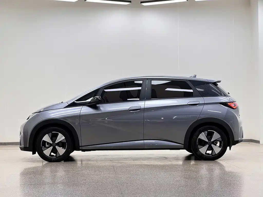BYD Dolphin 2024