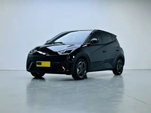 BYD Seagull 2024