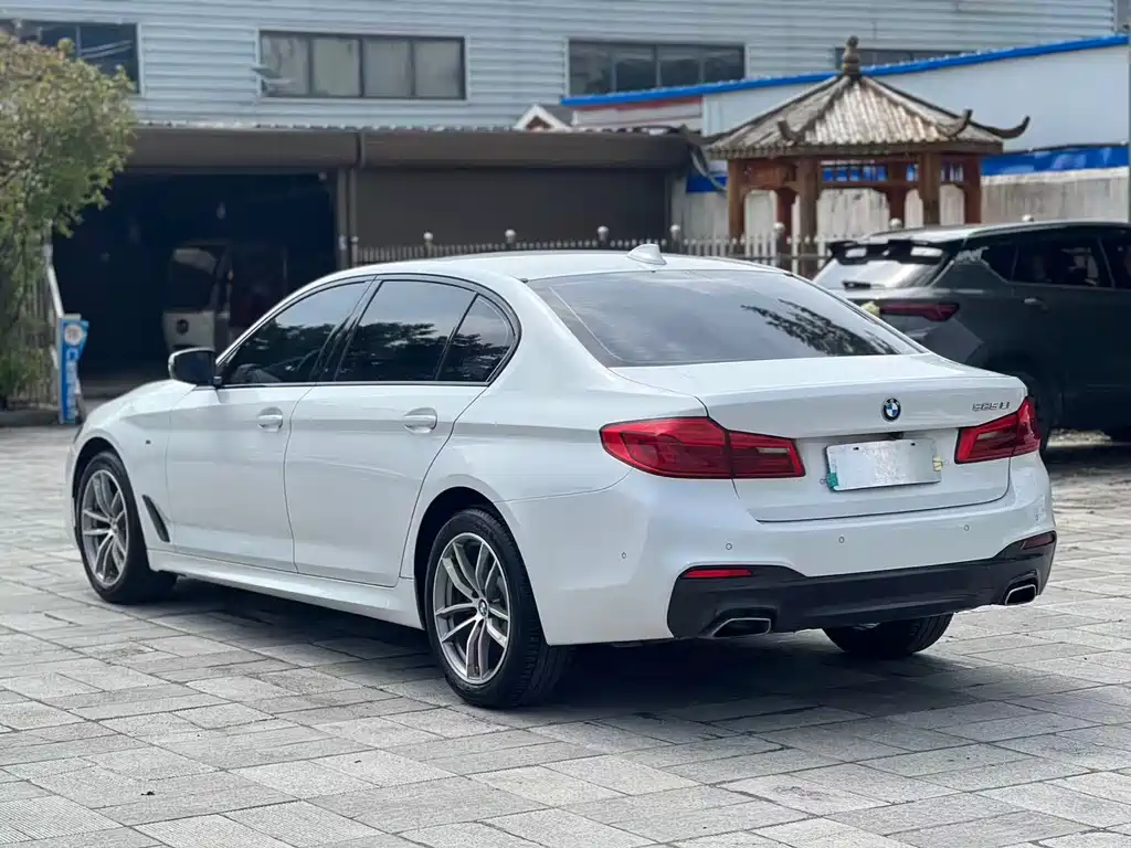 BMW 5 Series 2019 — фото 9