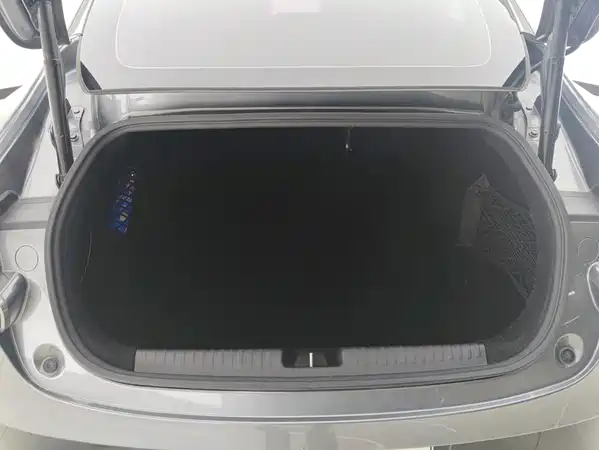 XPeng P7 2021