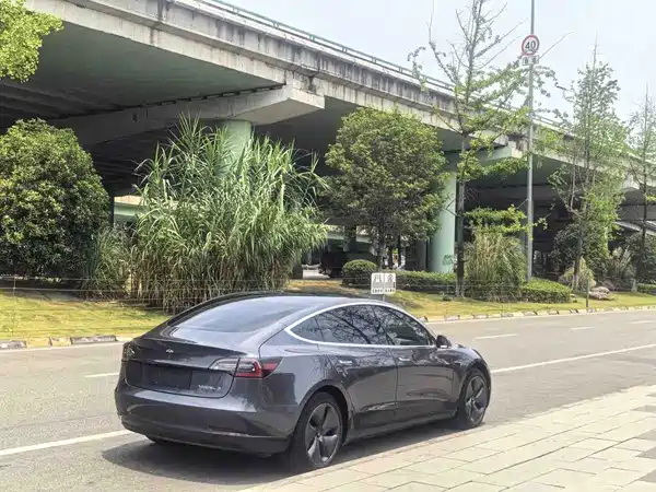 Tesla Model 3 2020