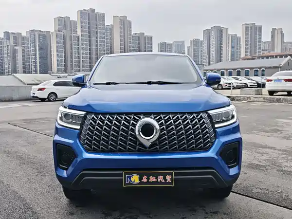 Great Wall Poer 2023