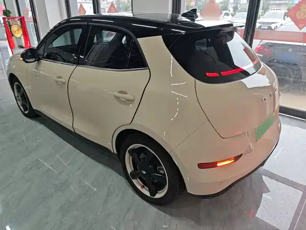 Ora Good Cat 2024