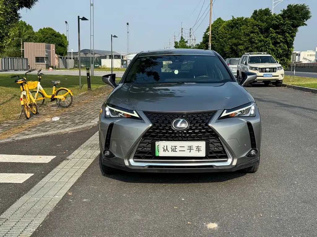 Lexus UX New Energy 2020 — фото 3