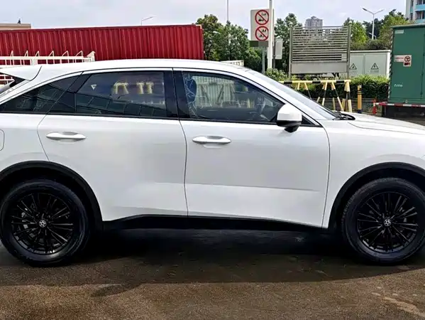 Venucia Big V 2022