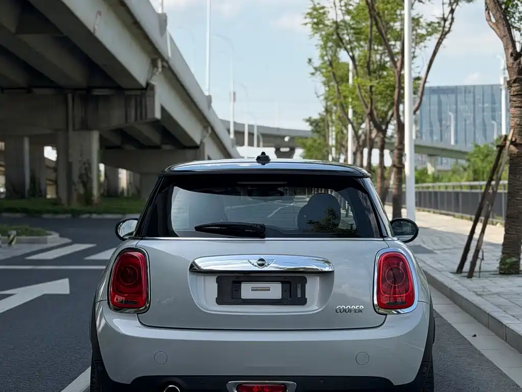 MINI MINI 2017
