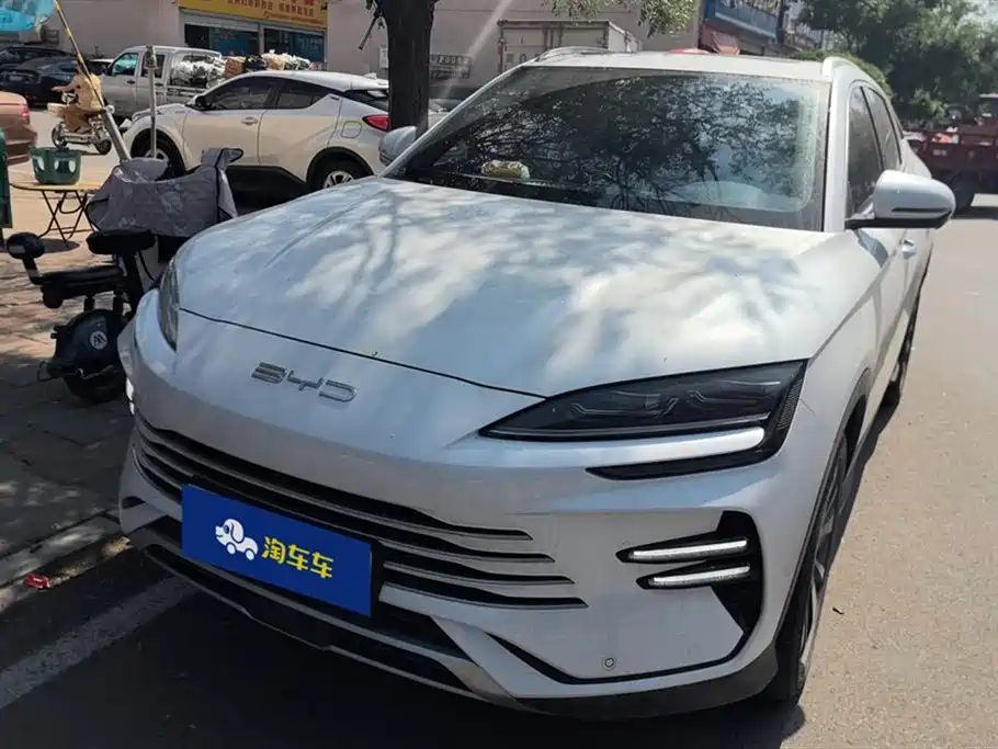 BYD PLUS New Energy 2024