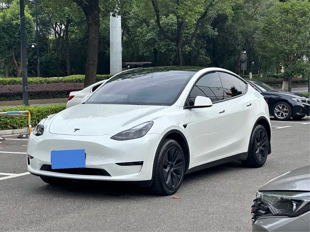 Tesla Model Y 2024 — фото 1