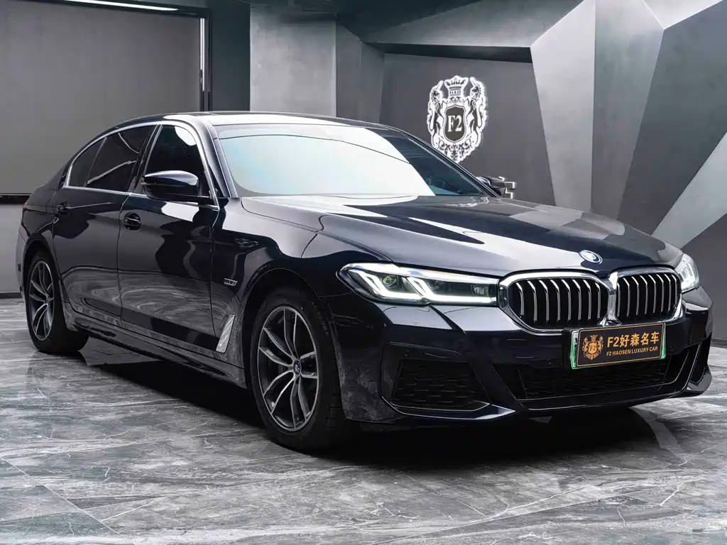 BMW 5 Series New Energy 2022