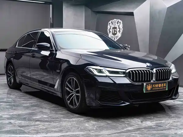 BMW 5 Series New Energy 2022