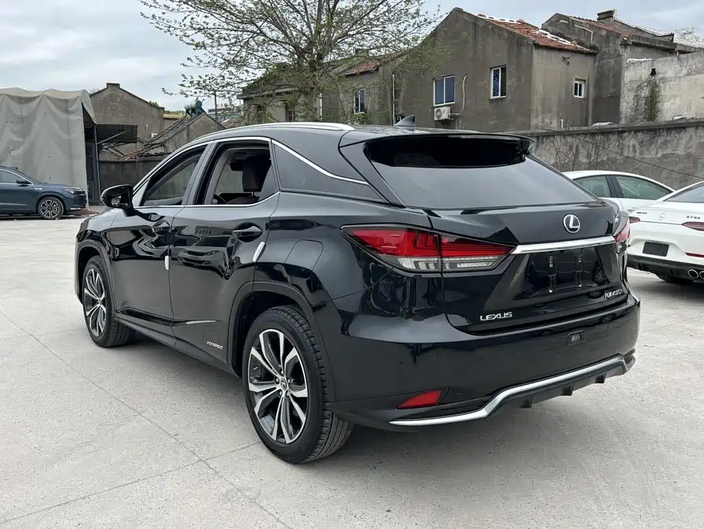 Lexus RX 2020 — фото 17