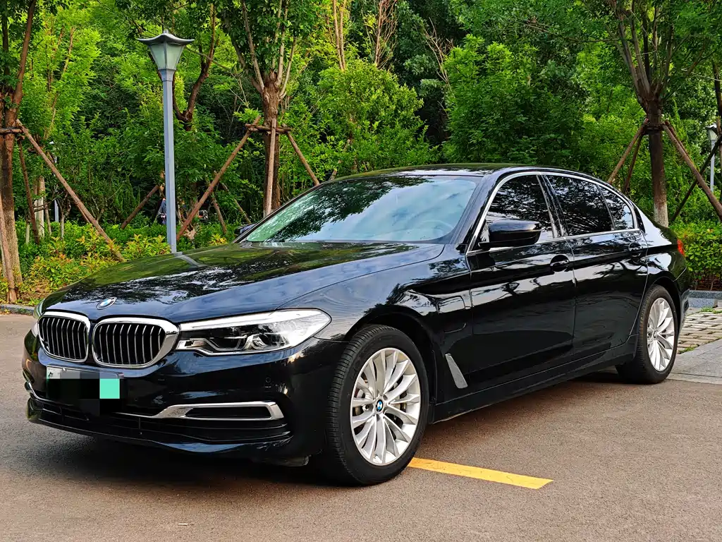 BMW 5 Series New Energy 2020