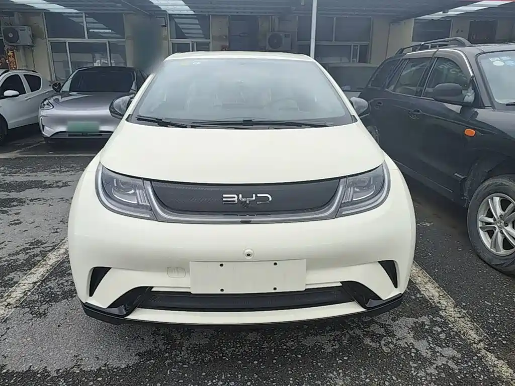 BYD Dolphin 2026