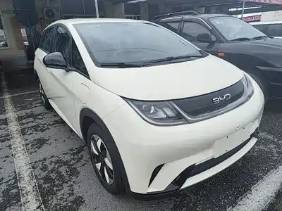 BYD Dolphin 2026
