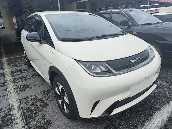 BYD Dolphin 2026