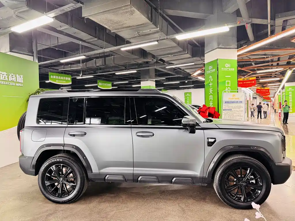 Haval Menglong New Energy 2025