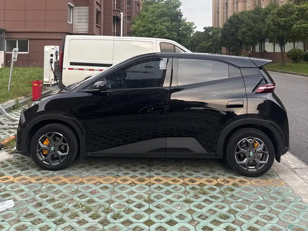 BYD Seagull 2025