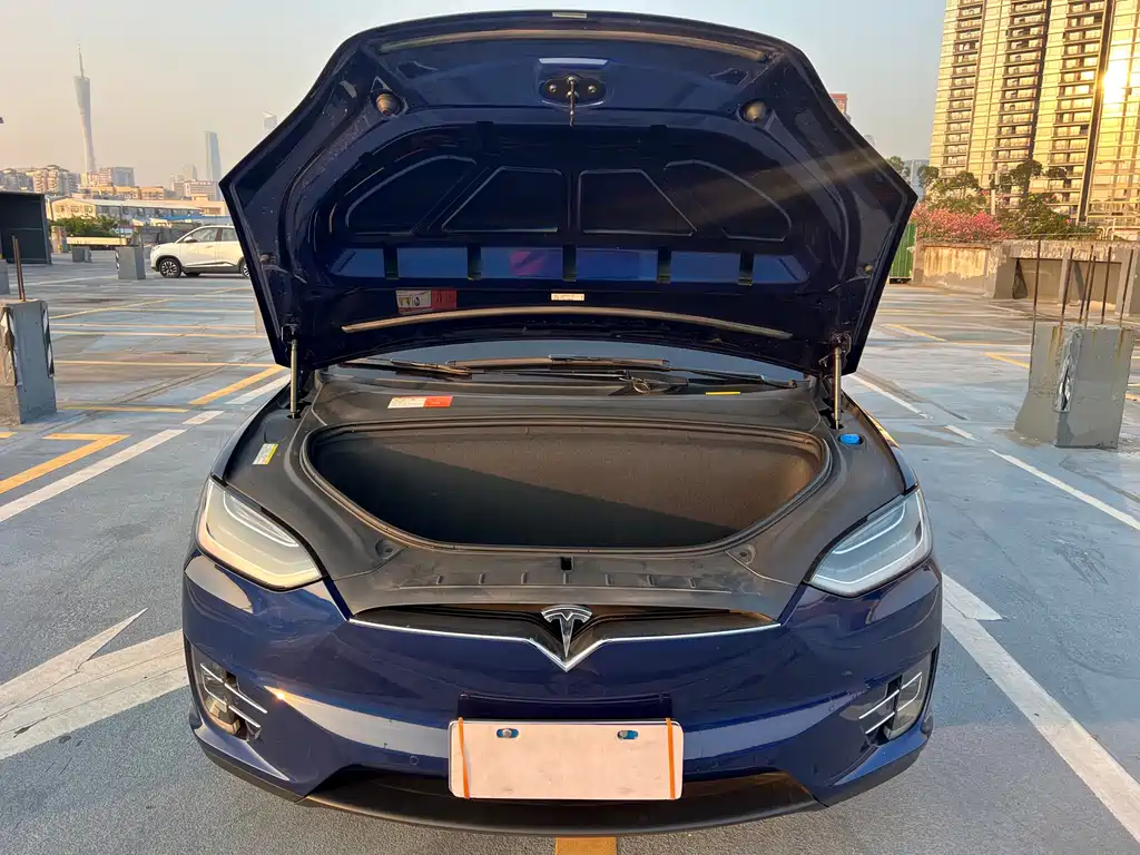 Tesla Model X 2017 — фото 18