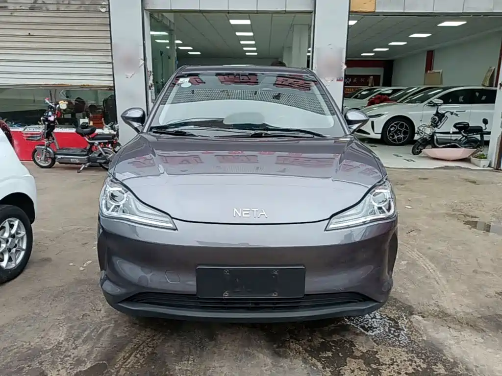 Neta V 2021