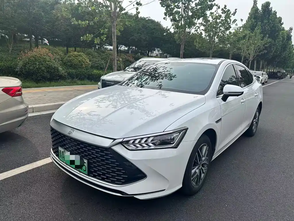 BYD Qin PLUS 2024 — фото 1
