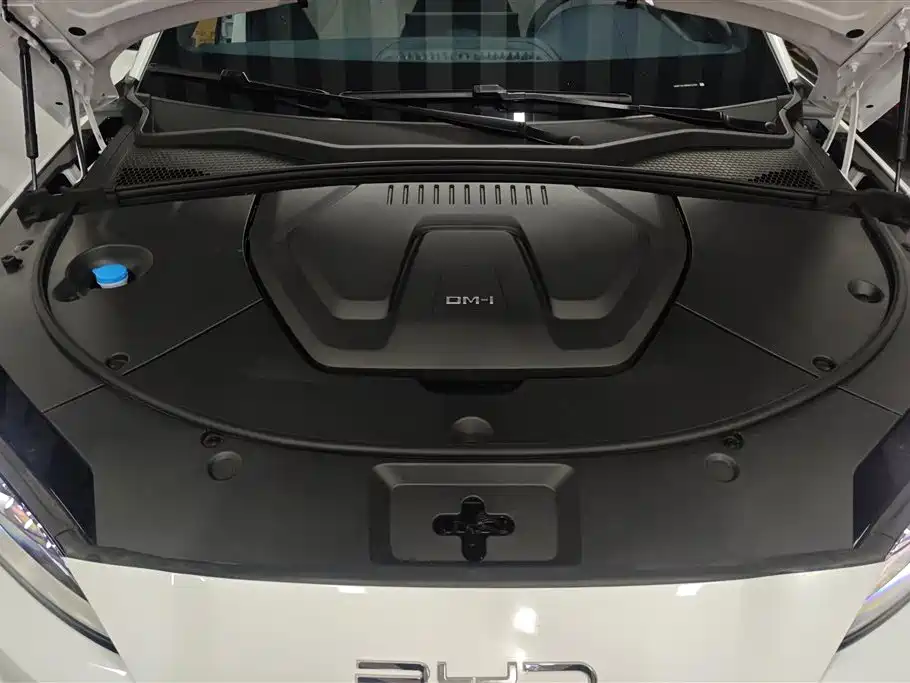 BYD PLUS New Energy 2024 — фото 10